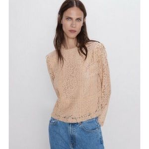 ZARA Pink Beige Lace Long Sleeve Top